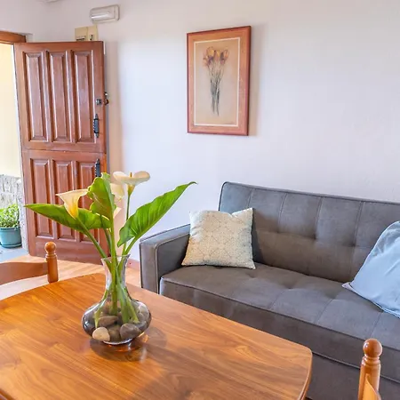 Apartamentos Olga-3