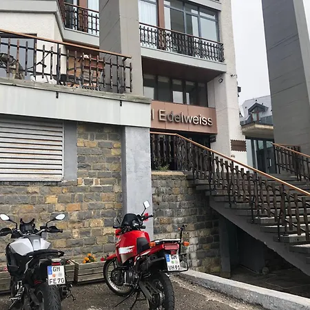 Hotel Edelweiss Candanchu-2