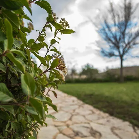Cabaña de campo-3