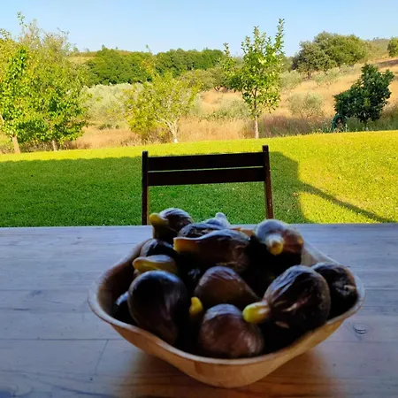 Casa Rural Camino del Alentejo-2