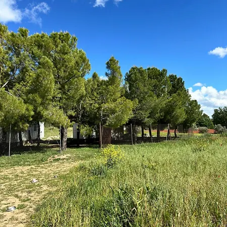 Bungalow Infanta-3