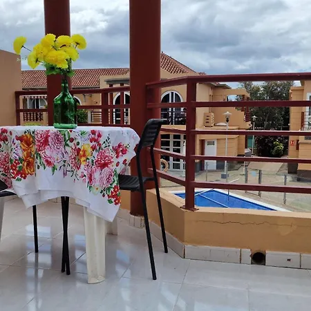 Story Suites - Palmeral Oasis-2