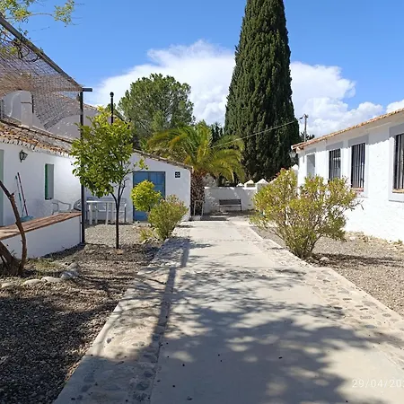 Cortijo Don Rodrigo-2