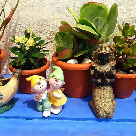Casa Amelia-2