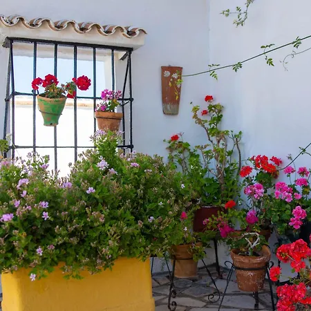 Cortijo del Coco-3