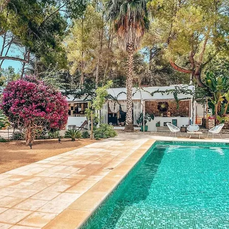 Ipunga Ibiza - Adults Only-3