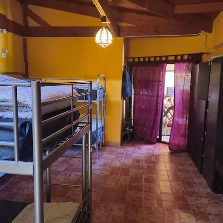 Los Amigos Nest Hostel-2