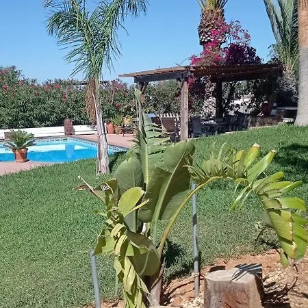 La Luciérnaga-3