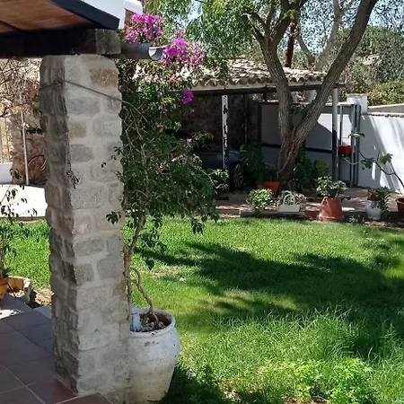 La Luciérnaga-2