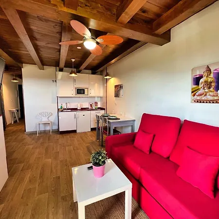 Apartamentos Spa Casco Historico de Isla-3