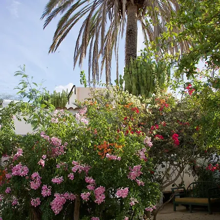 La Pandilla Ibiza-2