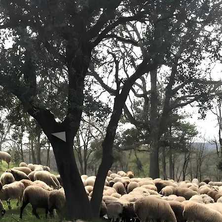 Allotjament Rural Solsona-3