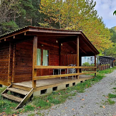 Camping Ribera Del Ara-2