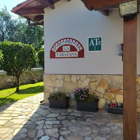 Apartamentos La Tarazana-2