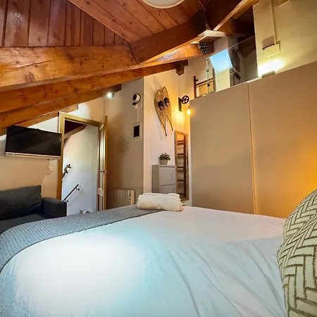 CAL DOMÈNEC - Dúplex lujo en Rialp ( Se admiten mascotas)-3