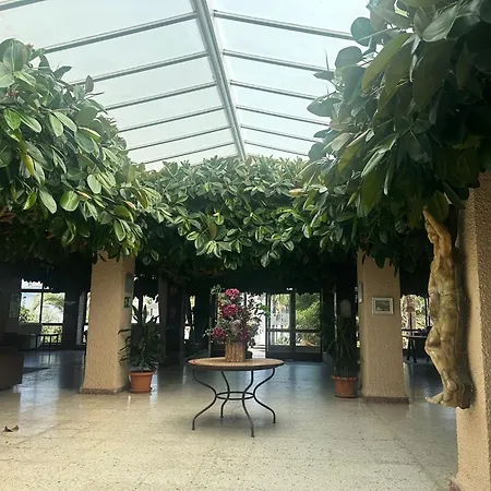 Hotel Bahía by ALEGRIA-3