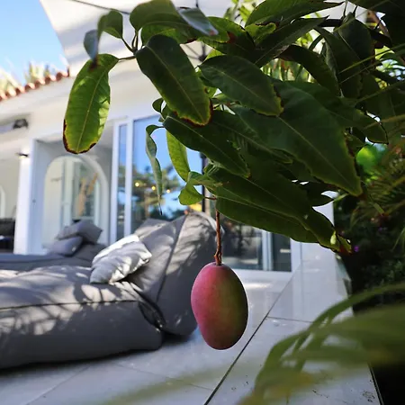 Sun Club Luxus Bungalow Projecto 65-2