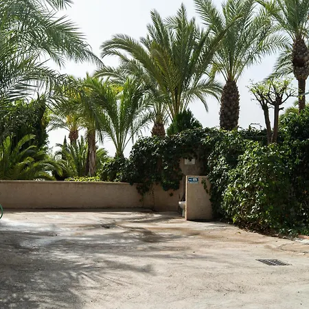 Camping Las Palmeras-2
