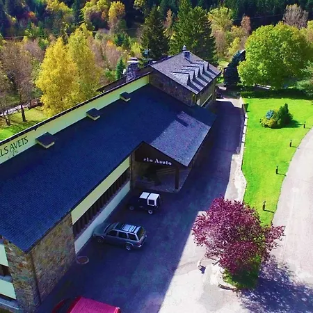 Hotel Els Avets-2