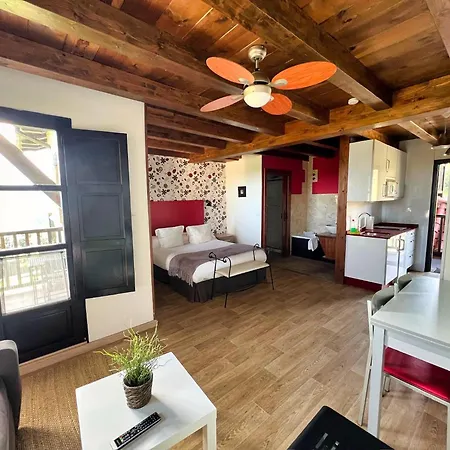 Apartamentos Spa Casco Historico de Isla-2