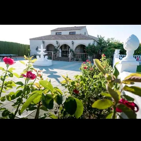 Villa Los Olivos-2