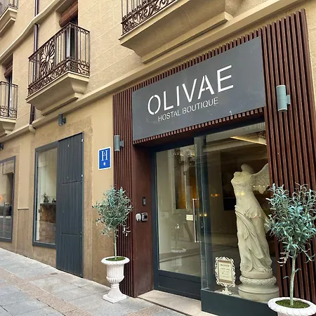 Olivae Hostal Boutique-3