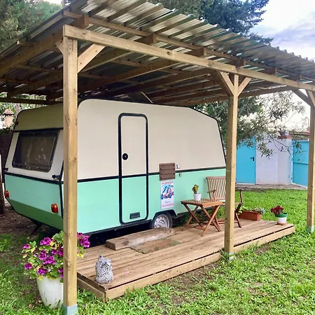Casa del Buho-3
