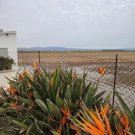 Caseta Del Chato-2