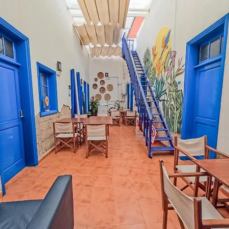 Ashavana Nest Hostel-3