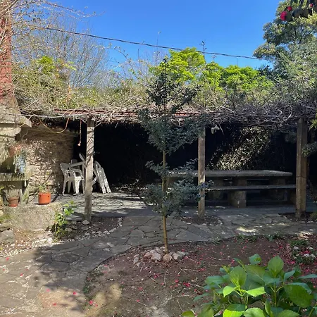 Casa Do Bosque-3