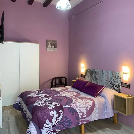 Hotel Rural La Soleia D'Oix-3