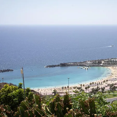 Holiday Club Jardin Amadores-2