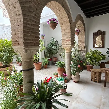 El patio de Regina-2
