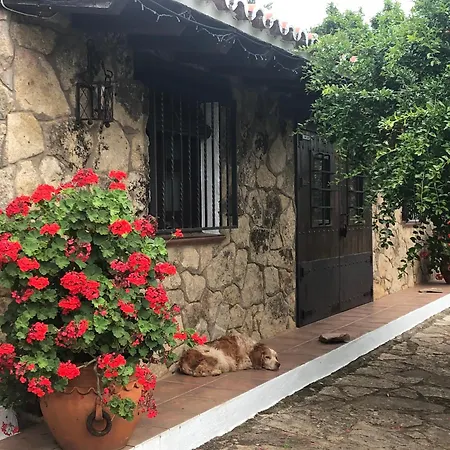 Suite romantica y Bungaló familiar con encanto rural-FINCA VERGEL-2