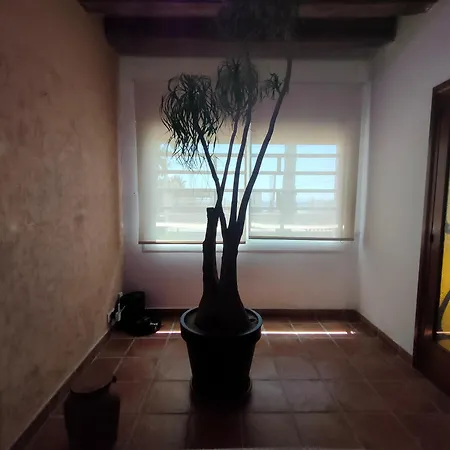 La Bellamar - Apartamento en primera línea mar--3