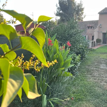 El huerto de Lino-2