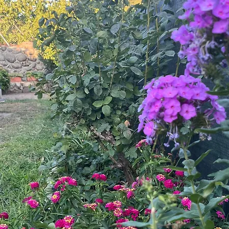 El huerto de Lino-3