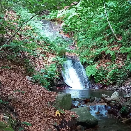 Mas Vilar Rural-2