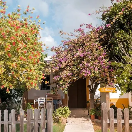 Agroturismo Casa Morna Ibiza-2