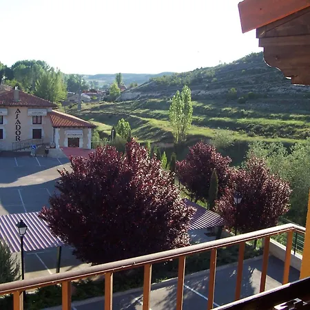 Hotel Milagros Rio Riaza-2