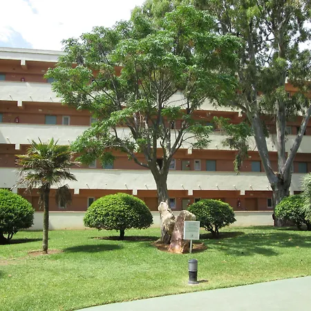 Hyb Eurocalas-3