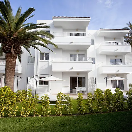 Palm Garden-3