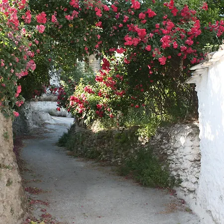 La Oveja Verde de la Alpujarra-2