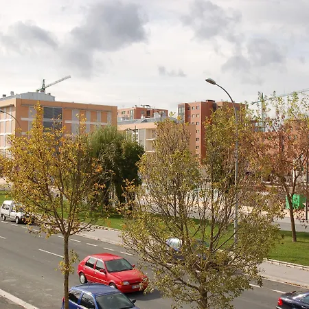 Iraipe Gorbea Auto Check-In-2
