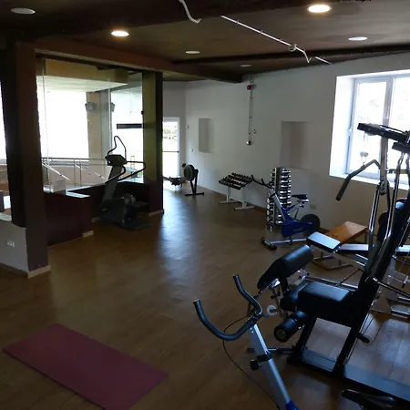 Alp Hotel Masella-3