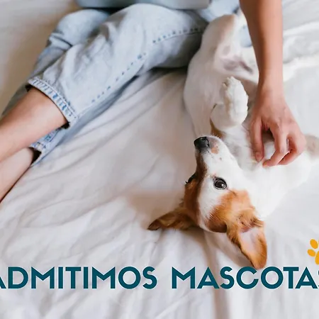 Apartamentos Alcocebre Suites 3000-2