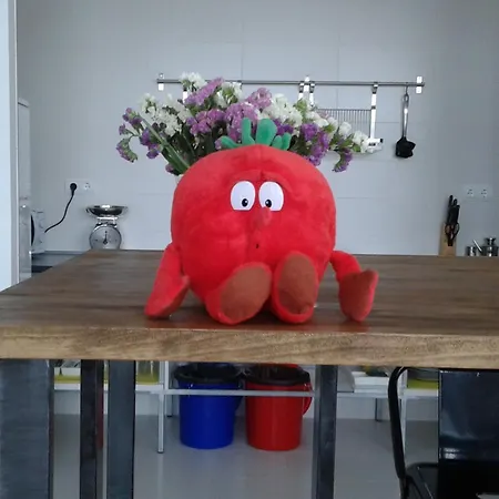 Check In León-3