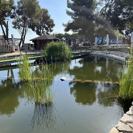 Hotel El Cisne-2