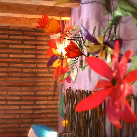 Casa el Pelaire-2