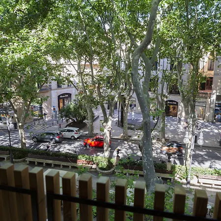 Nivia Born Boutique Hotel-2